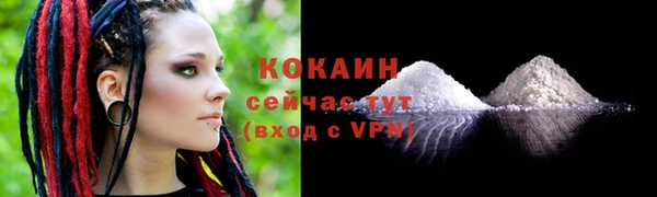 молекула духа Покров