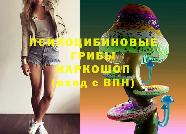 apvp Алексеевка