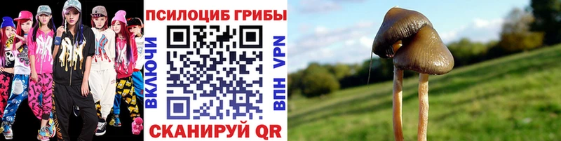 купить наркоту Болхов Галлюциногенные грибы GOLDEN TEACHER
